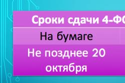 Бухучет инфо 4 фсс за год образец