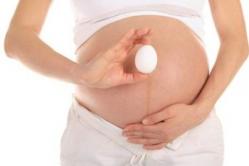 Сколько яиц в день нужно употреблять беременной?